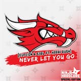 Never Let You Go (Extended Mix)