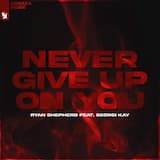 Never Give Up On You