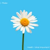 Twist and Shake for Your Health