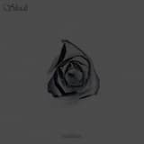 Within the Depths of a Shattered Soul