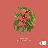 Batch & Decaf