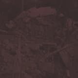 Immured in Supreme Beliefs