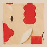 La historia de la niña Junco