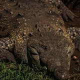 HOSTILE WORLD-MY HIS(STORY) XXXXIII