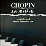 Sonata B-Moll Op.35 - Grave. Doppio Movimento