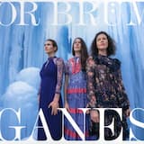 Tartaruga De Plastica