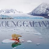 Long Live the Fallen World