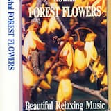 Kowhai (Flowering Tree)