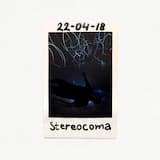 Stereocoma