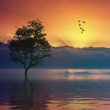 Stellar Harmony 60seconds