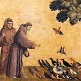 Sermon to the birds