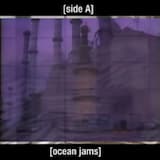 indo.verted . {side A.}