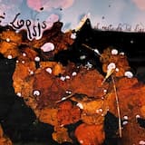 Me Encanta Verte Así