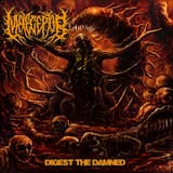 Stallion Shaft Arse Plunger