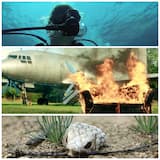 Verbrenn meine Couch