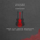 Symphony (Inner City Youth Orchestra of Los Angeles version)