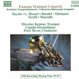 Concerto in D minor for trumpet and orchestra: I. Largo: vivace