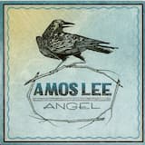 Windows Are Rolled Down