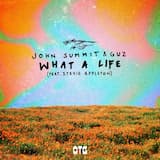What a Life (extended mix)