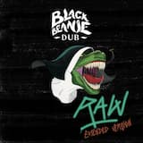 Misinformation (DUB MIX)