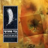 כשייתמו המילים (Radio Edit)