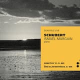 Piano Sonata No. 21, D. 960: I. Molto moderato