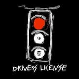 drivers license