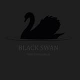 Black Swan (But I Know There's More to Life)