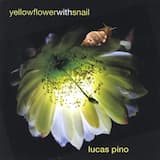 Yellow Flower With Snail