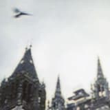 The Happiest Days of My Life