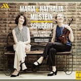 Violin Sonata in D Major, Op. 137 No. 1, D. 384: III. Allegro vivace