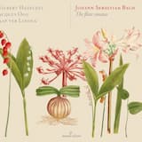 Sonata in C major, BWV 1033: I. Andante