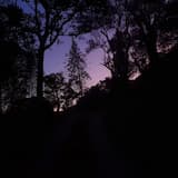 one year has passed (look at all we’ve been through)