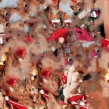 literally tannenbaum