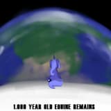 1,000 Year Old Equine Remains