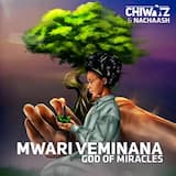 Mwari Veminana/God Of Miracles