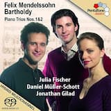 Piano Trio no. 1 in D minor, op. 49: I. Molto allegro agitato