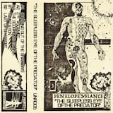 Creeping Out of the Shadows