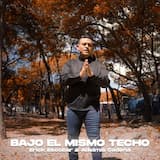 Bajo el mismo techo