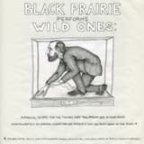 Call of the Wild Ones: A Theme