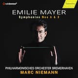 Sinfonie Nr. 6 E-Dur: I. Adagio – Allegro con spirito