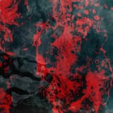 Black Gulls Over the Headland