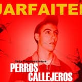 Perros callejeros