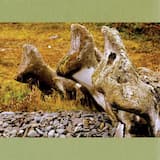 Нунэанган (Nuneangan)