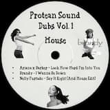 Say It Right (Protean Sound Acid edit)