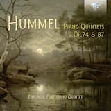 Piano Quintet in D minor, op. 74: I. Allegro con spirito