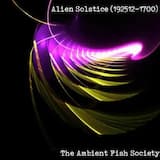 A Different Kind of Solistice