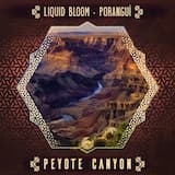 Peyote Canyon (Wolf Tech remix)