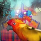 welcome (feat. Seikomart Tour Package)