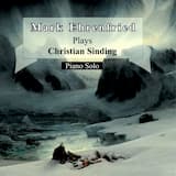 Sonata for Piano in B minor, op. 91: I. Allegro non Troppo